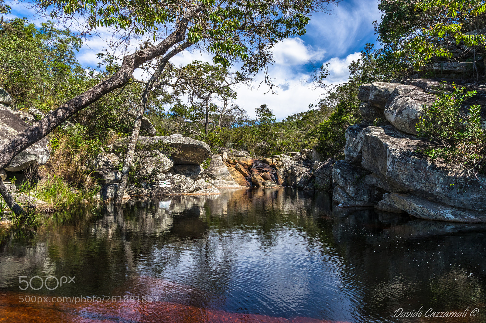 Pentax K-3 sample photo. Fazenda vaccaro photography