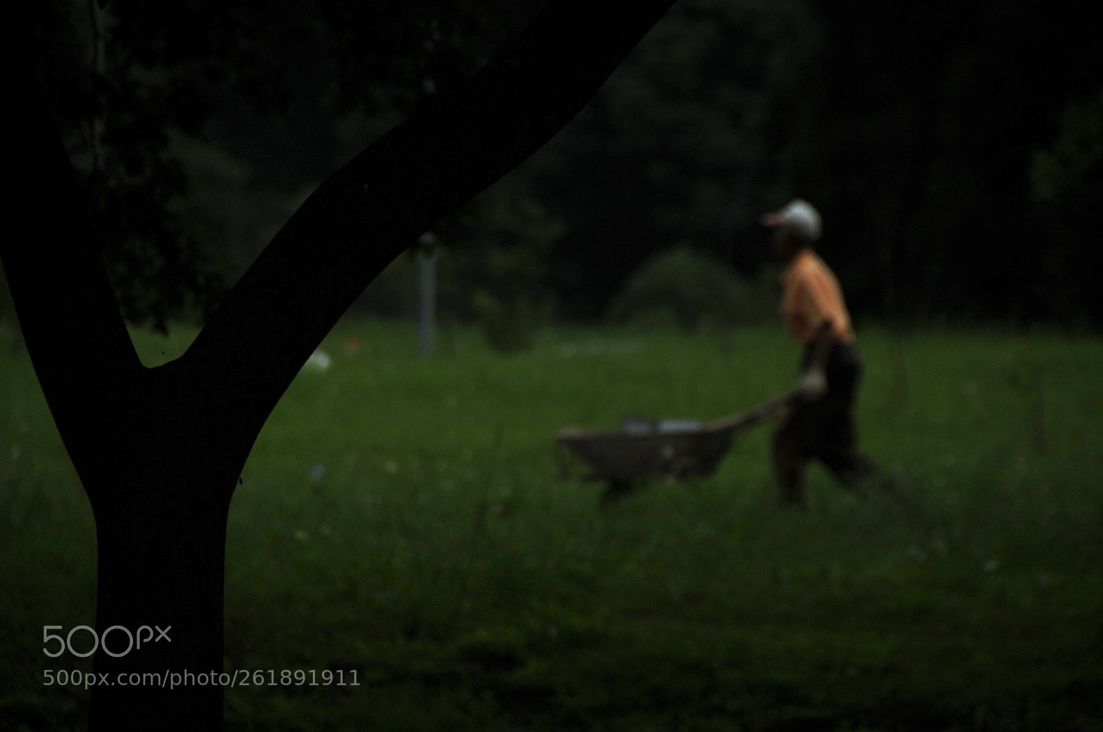 Nikon D3S sample photo. .. photography