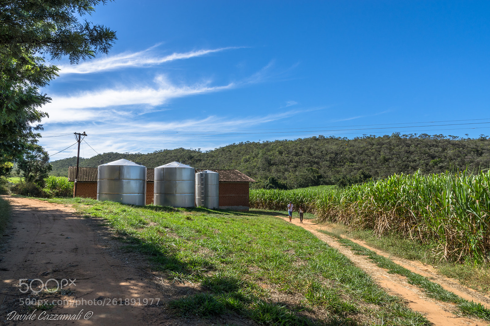 Pentax K-3 sample photo. Fazenda vaccaro photography
