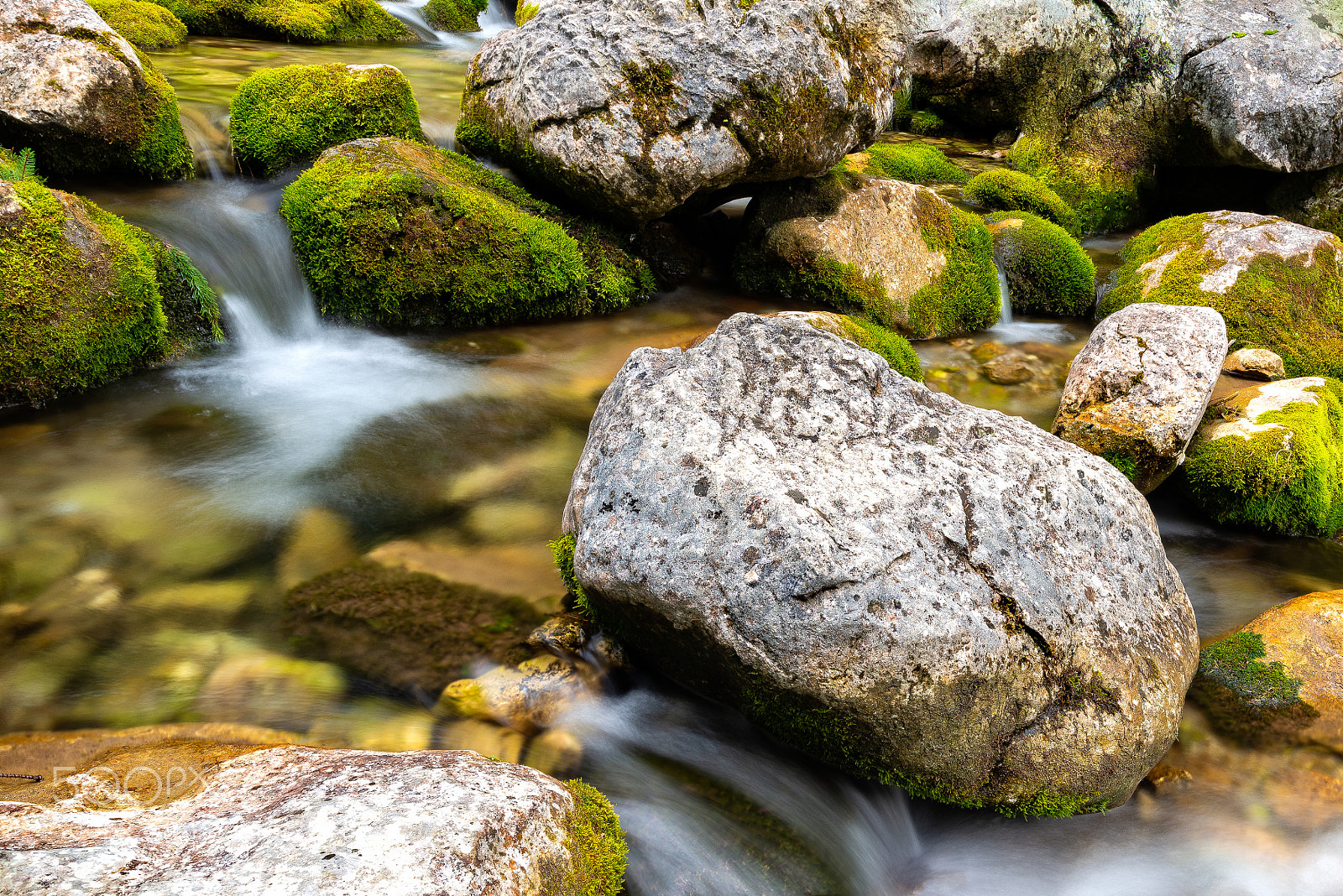 Nikon D610 sample photo. Water photography