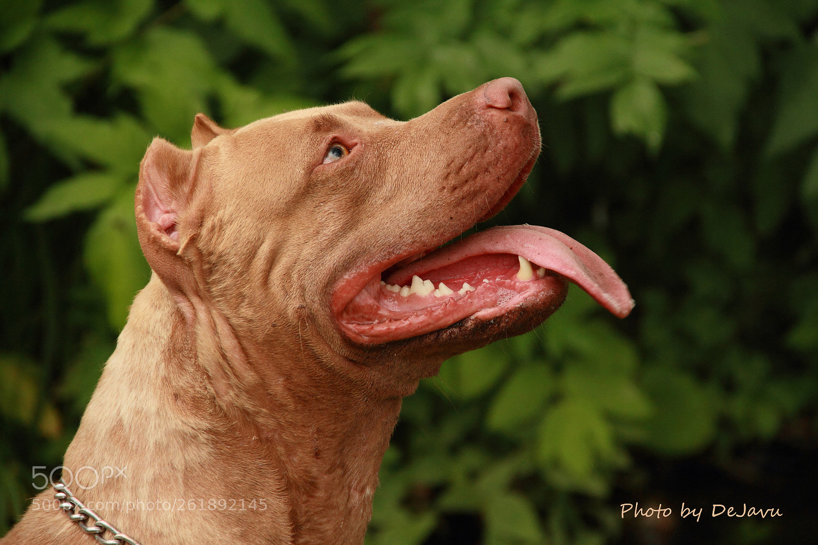 Canon EOS 7D sample photo. Dpp photography