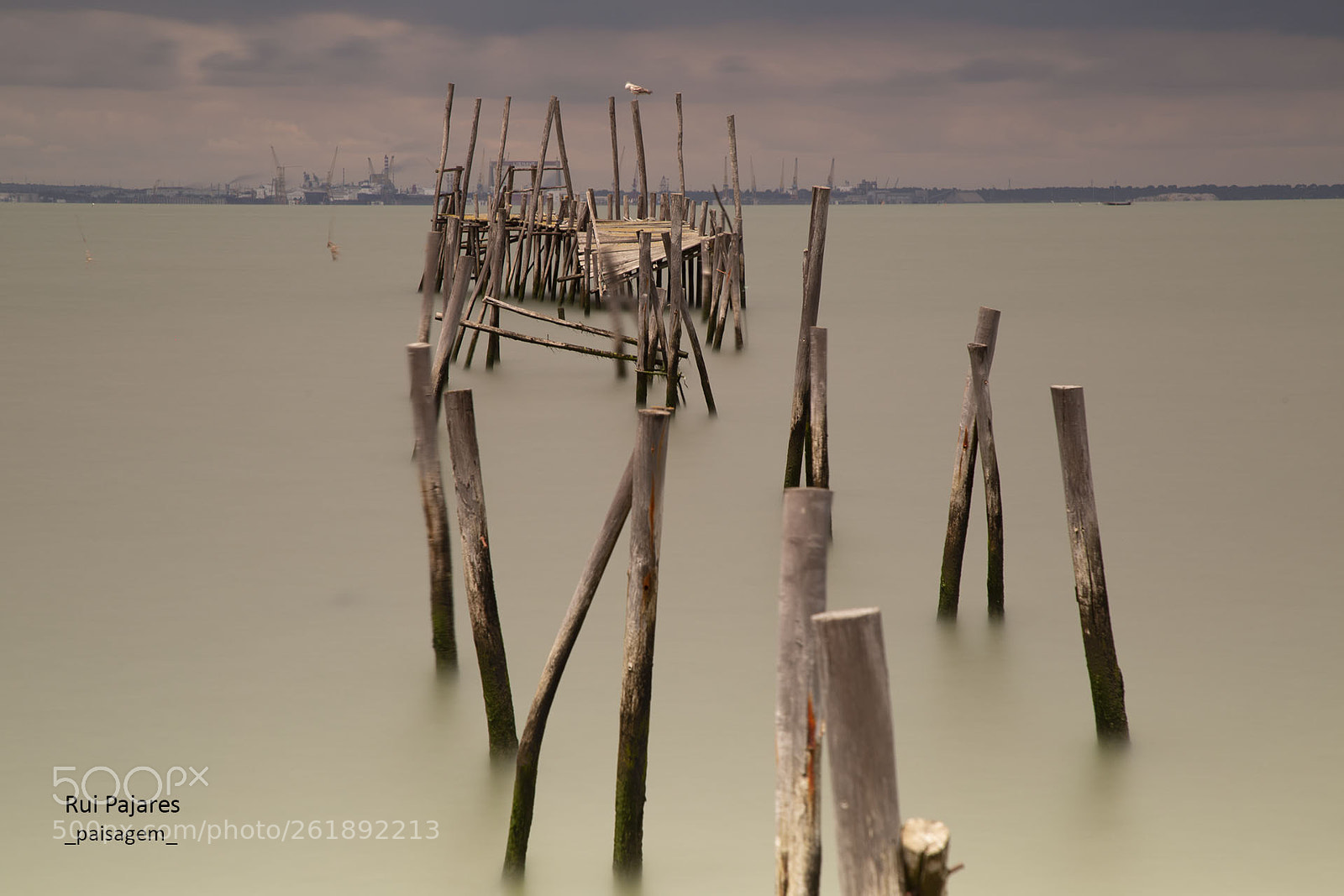 Canon EOS 6D sample photo. Untitled photography