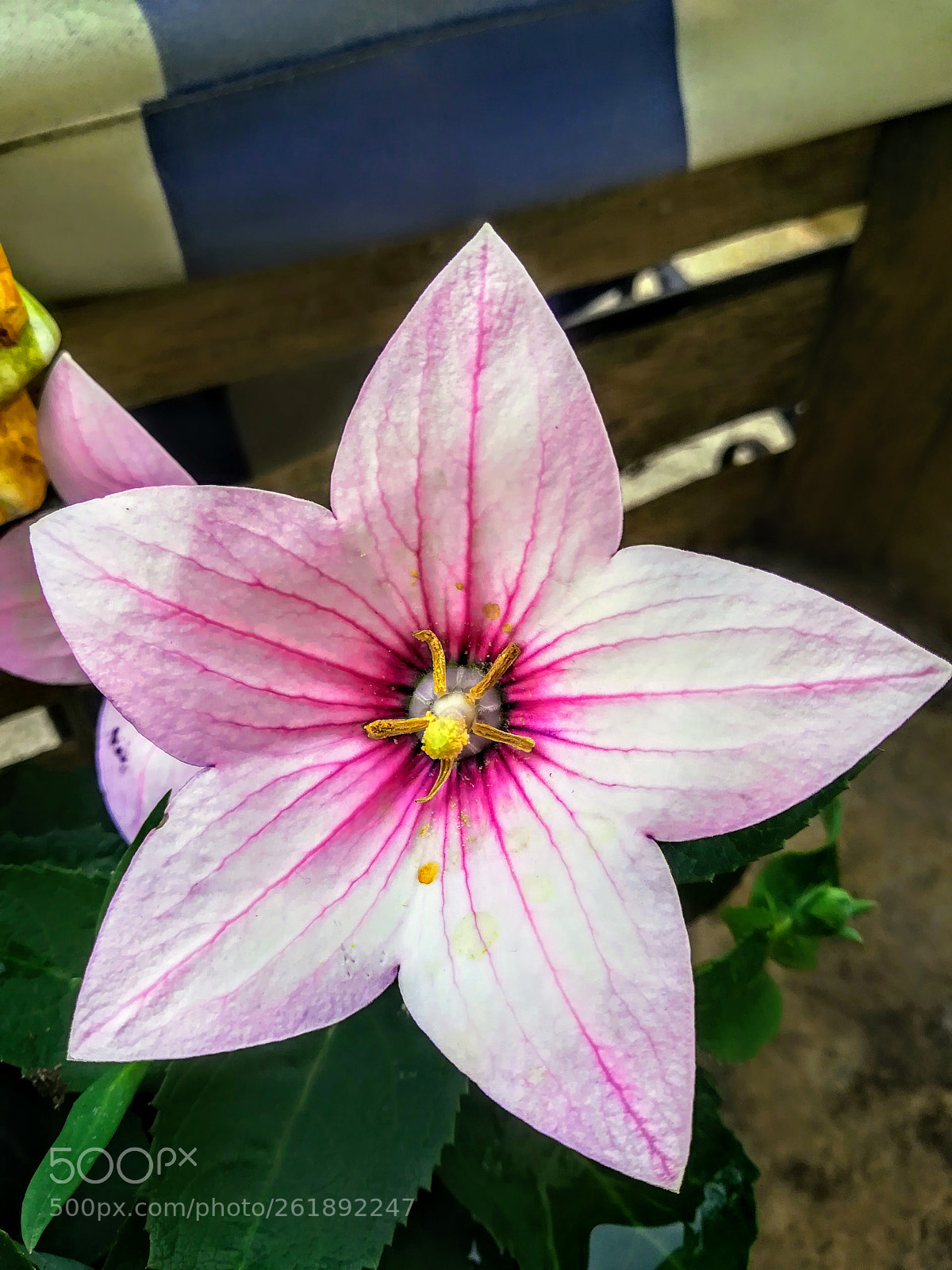 HUAWEI PRA-LX1 sample photo. Untitled photography