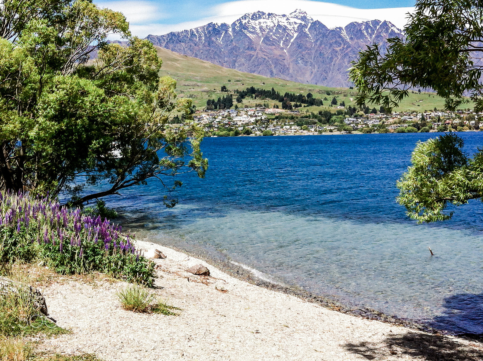 Apple iPhone 4 sample photo. Lupins by the lake photography