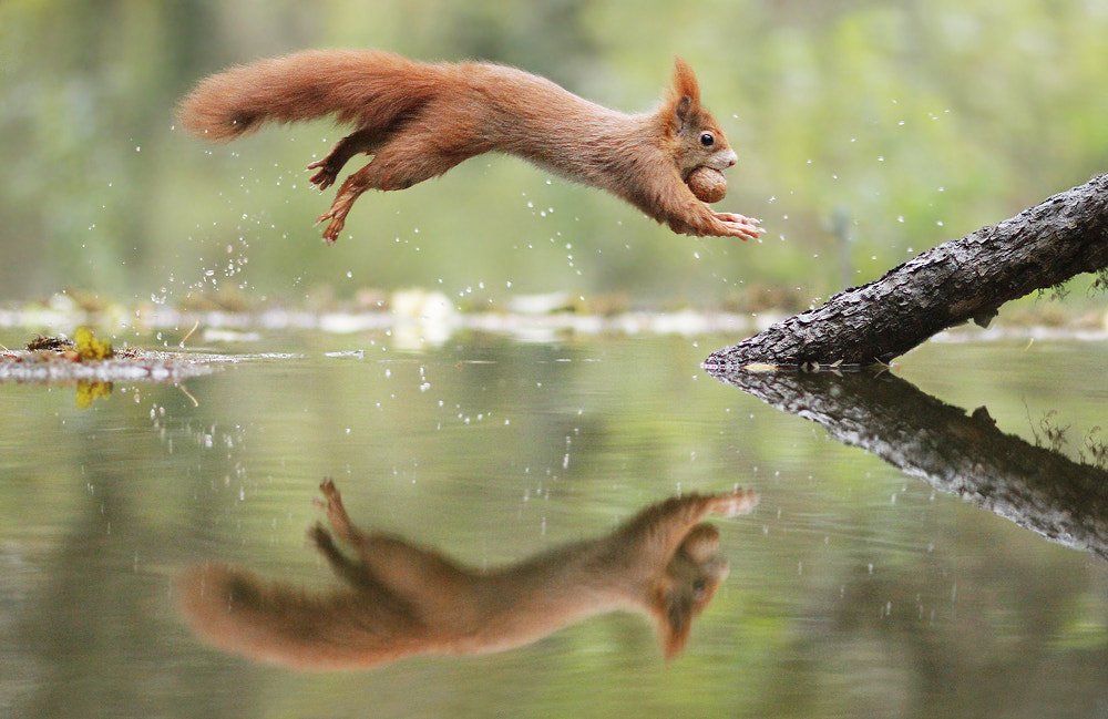 Acrobat by Julian Rad on 500px.com