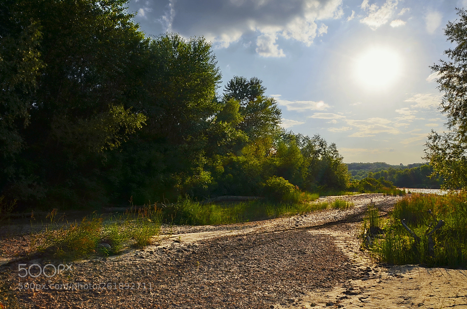 Nikon D5100 sample photo. Summer day photography