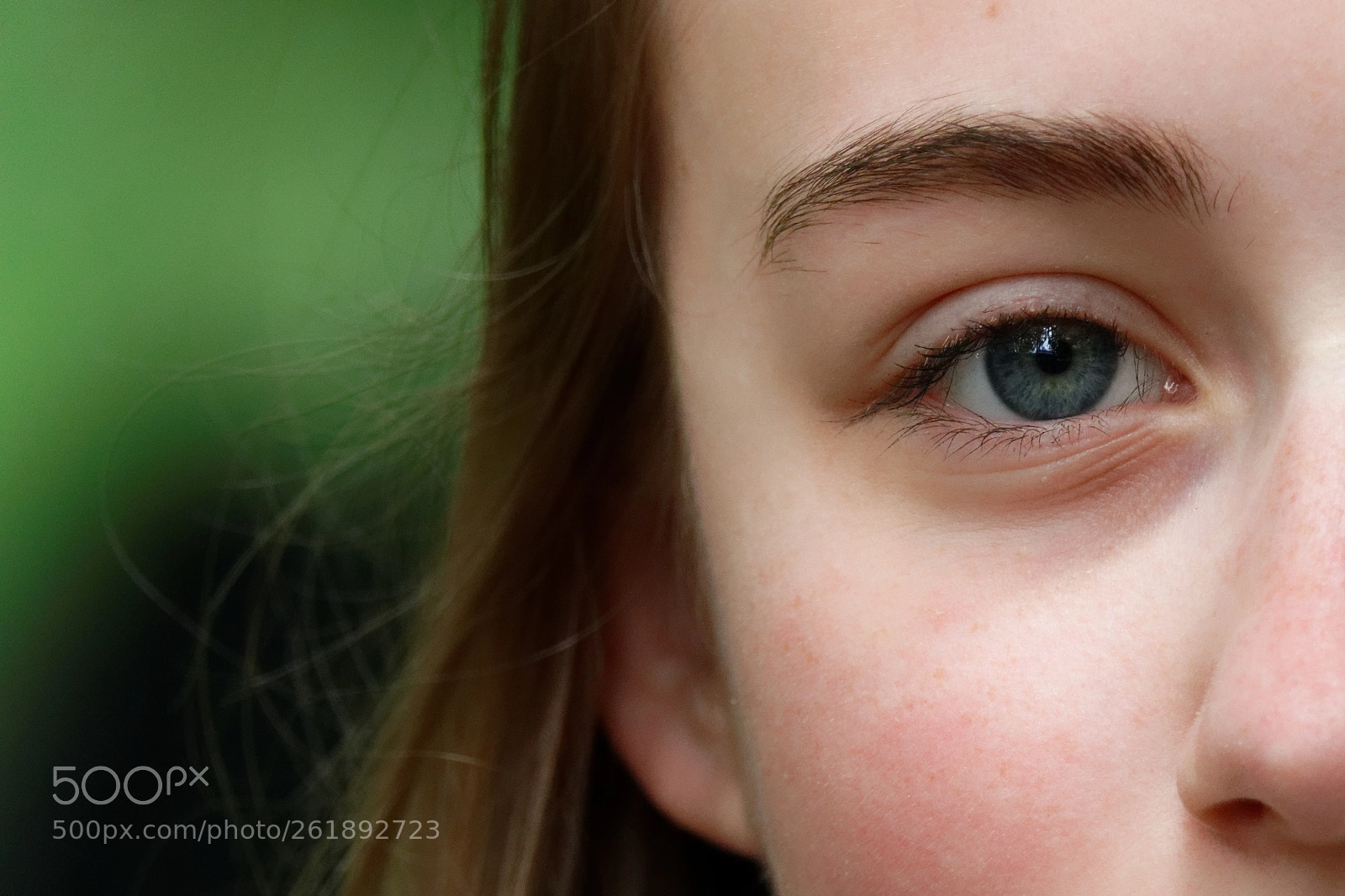Sony Cyber-shot DSC-RX10 III sample photo. Eye photography