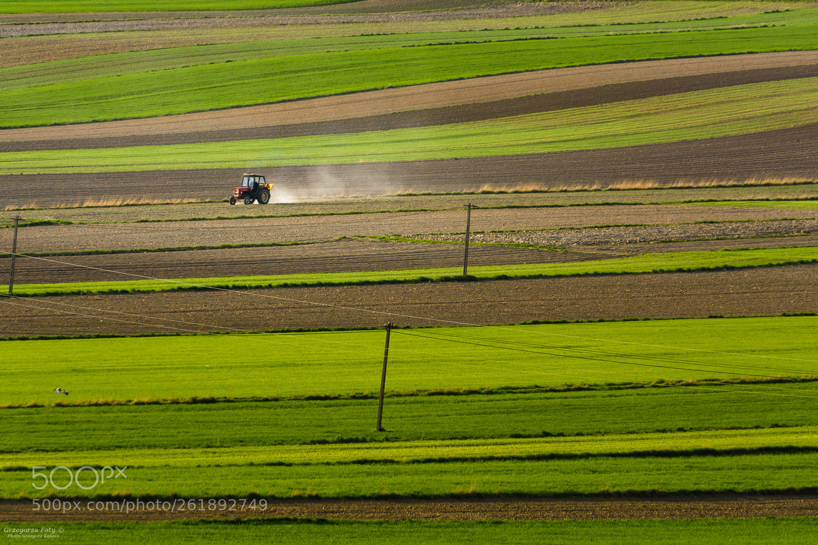 Nikon D7100 sample photo. Work photography