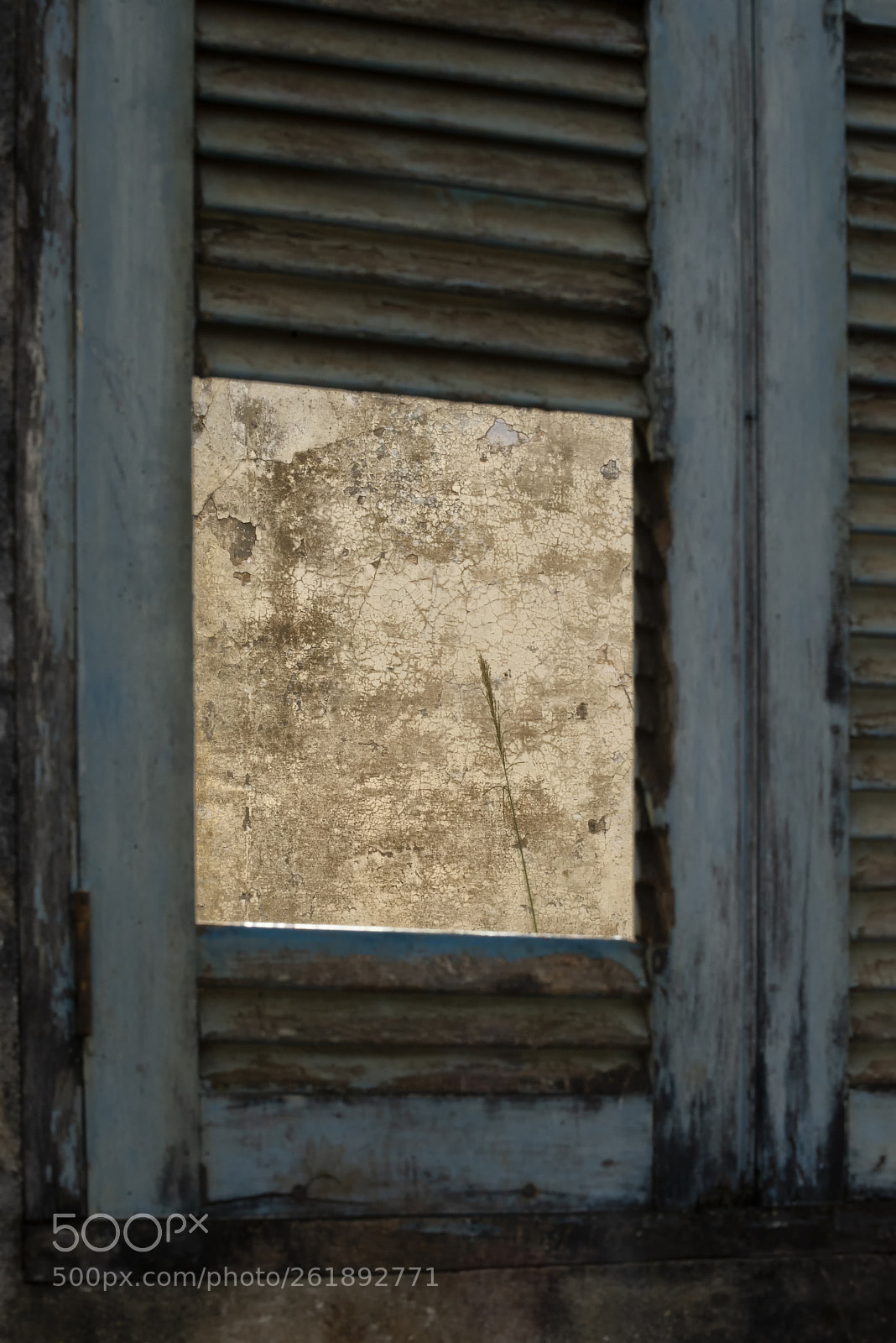 Nikon D610 sample photo. A window to the photography