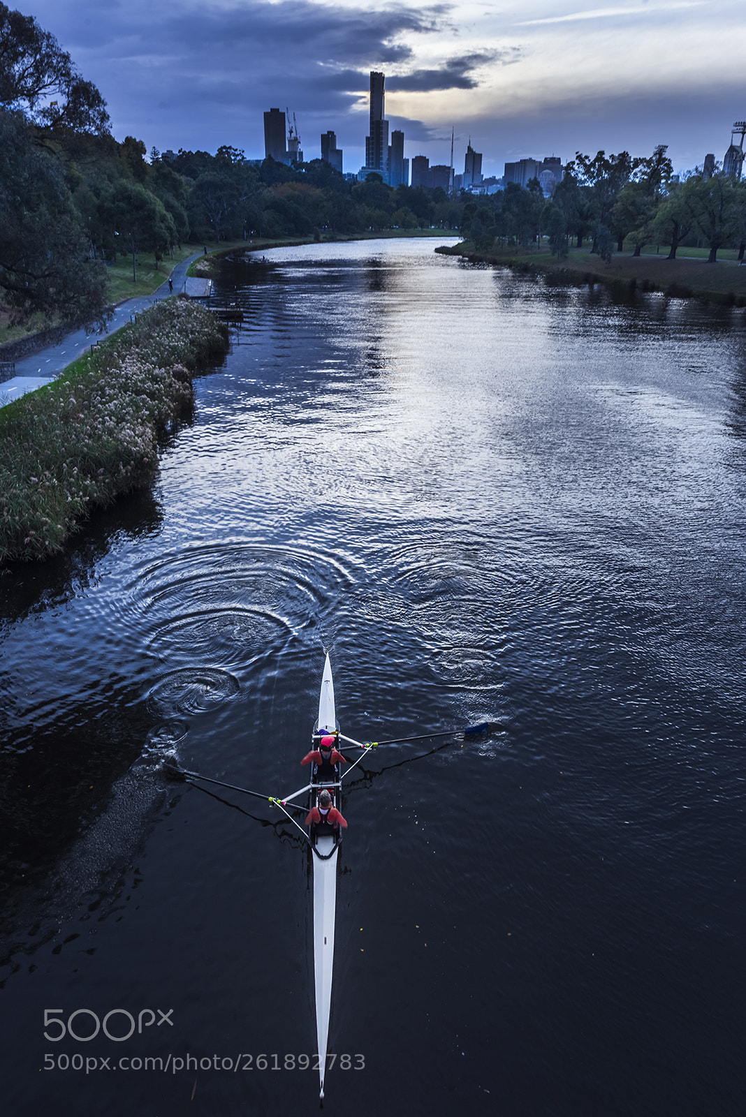 Nikon D810 sample photo. Rowing in yarra river photography