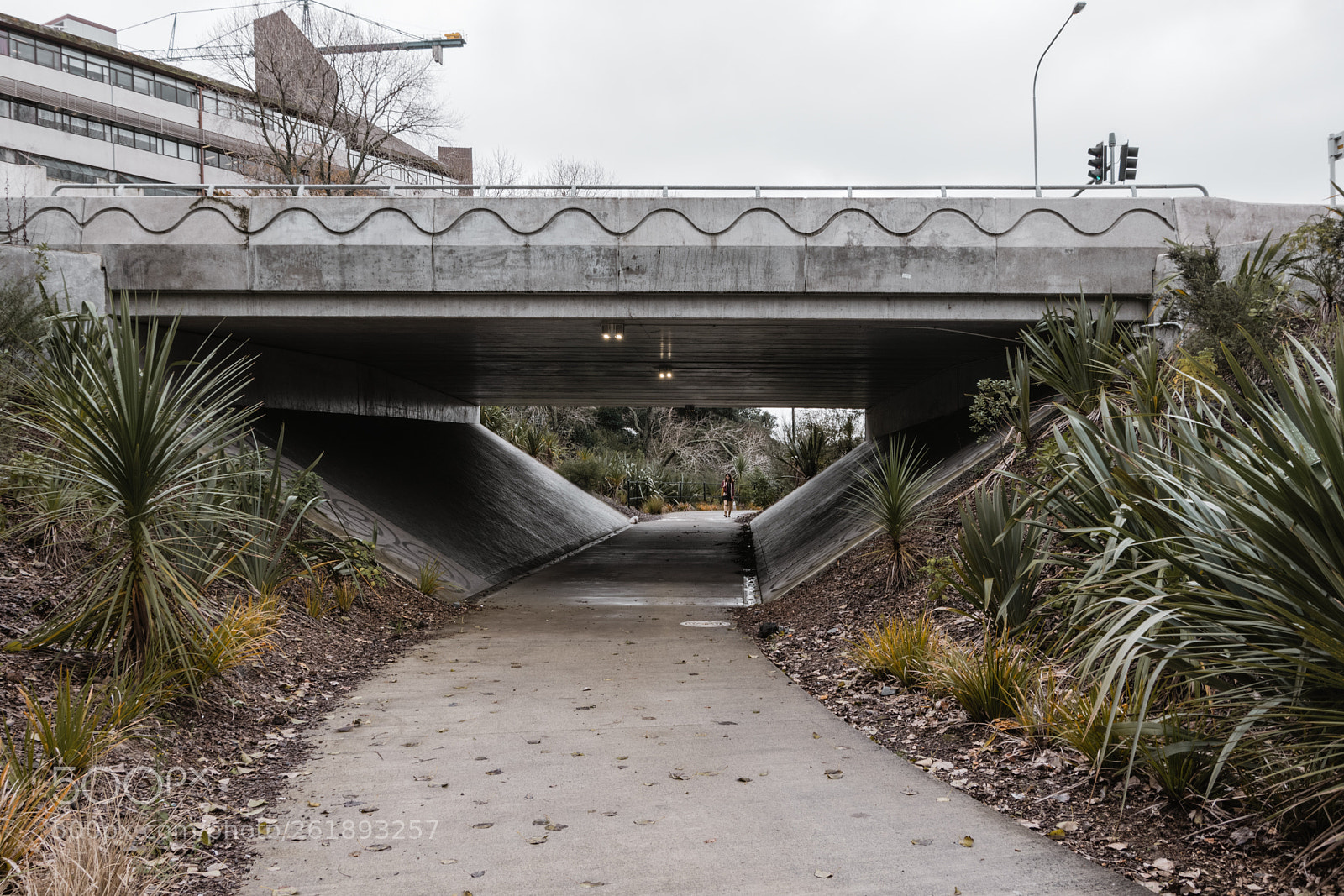 Pentax K-70 sample photo. Grafton gully cycleway photography