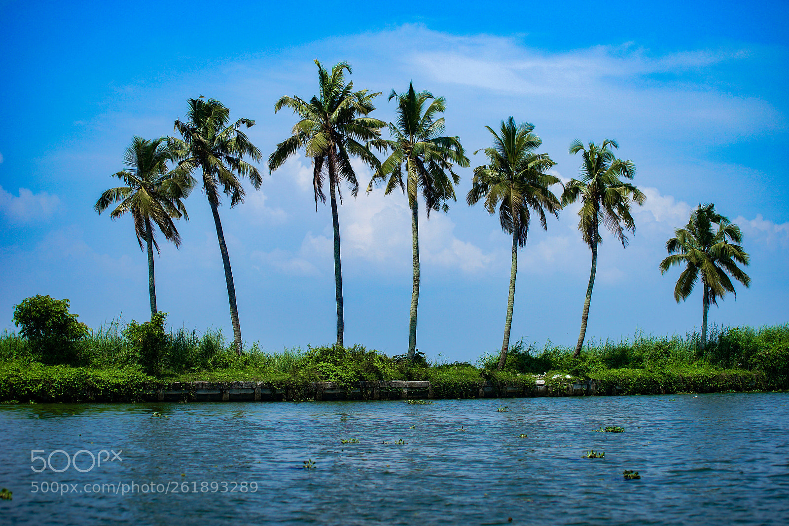 Sony a99 II sample photo. The backwaters-kerala photography