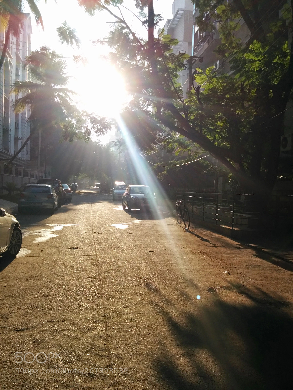 LG Nexus 5 sample photo. Rays of sunlight photography
