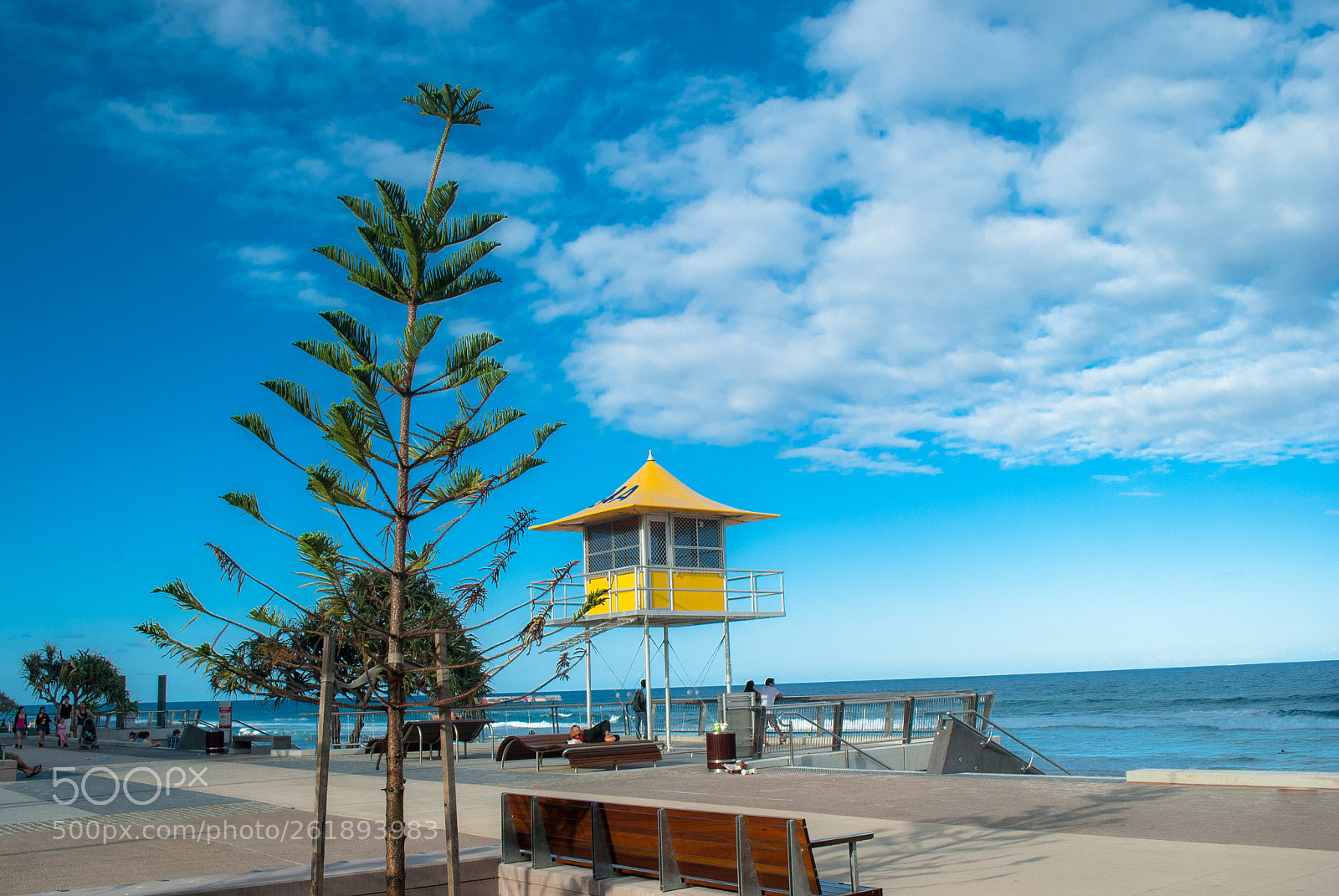 Nikon D60 sample photo. A sunny gold coast photography