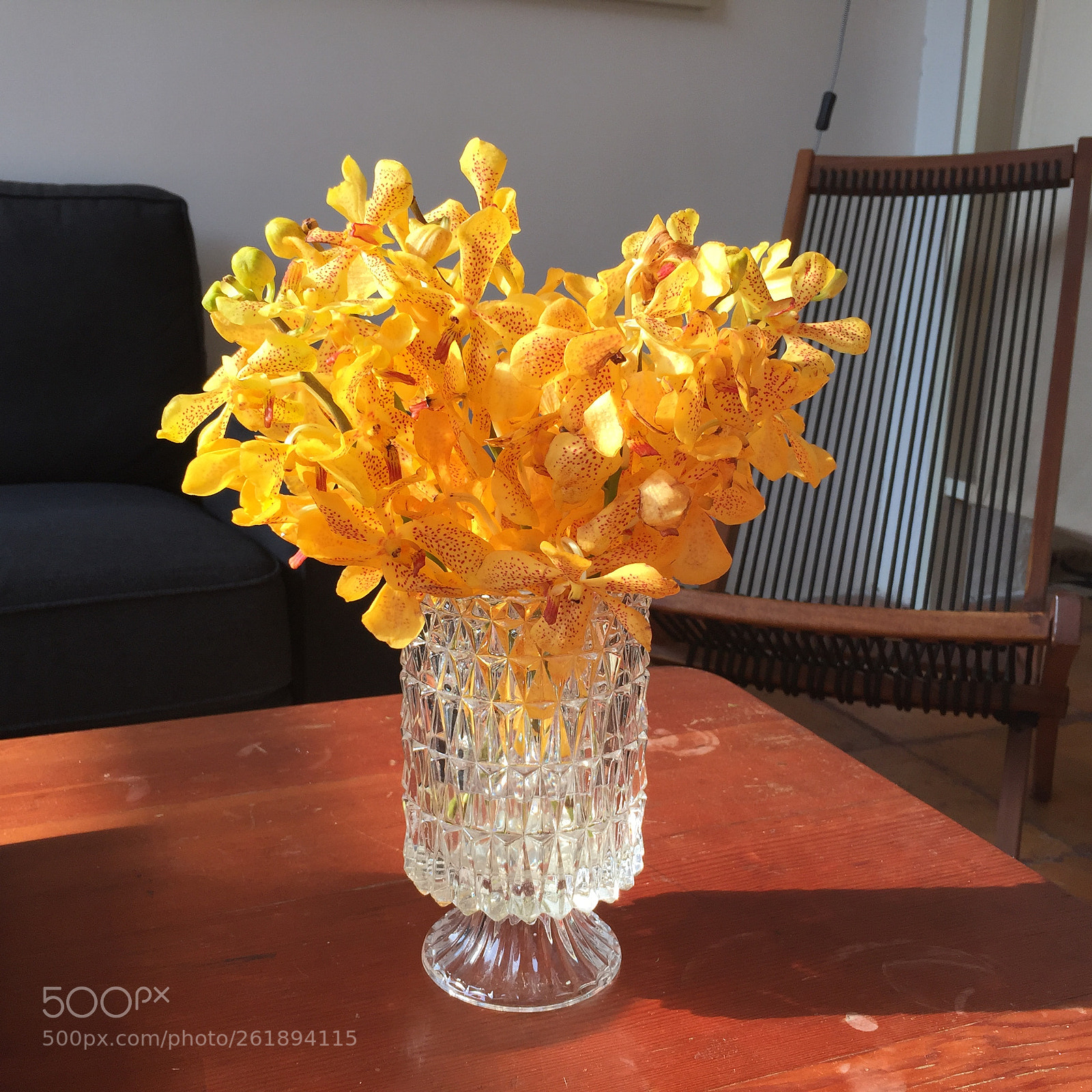Apple iPhone 6 sample photo. Flower photography