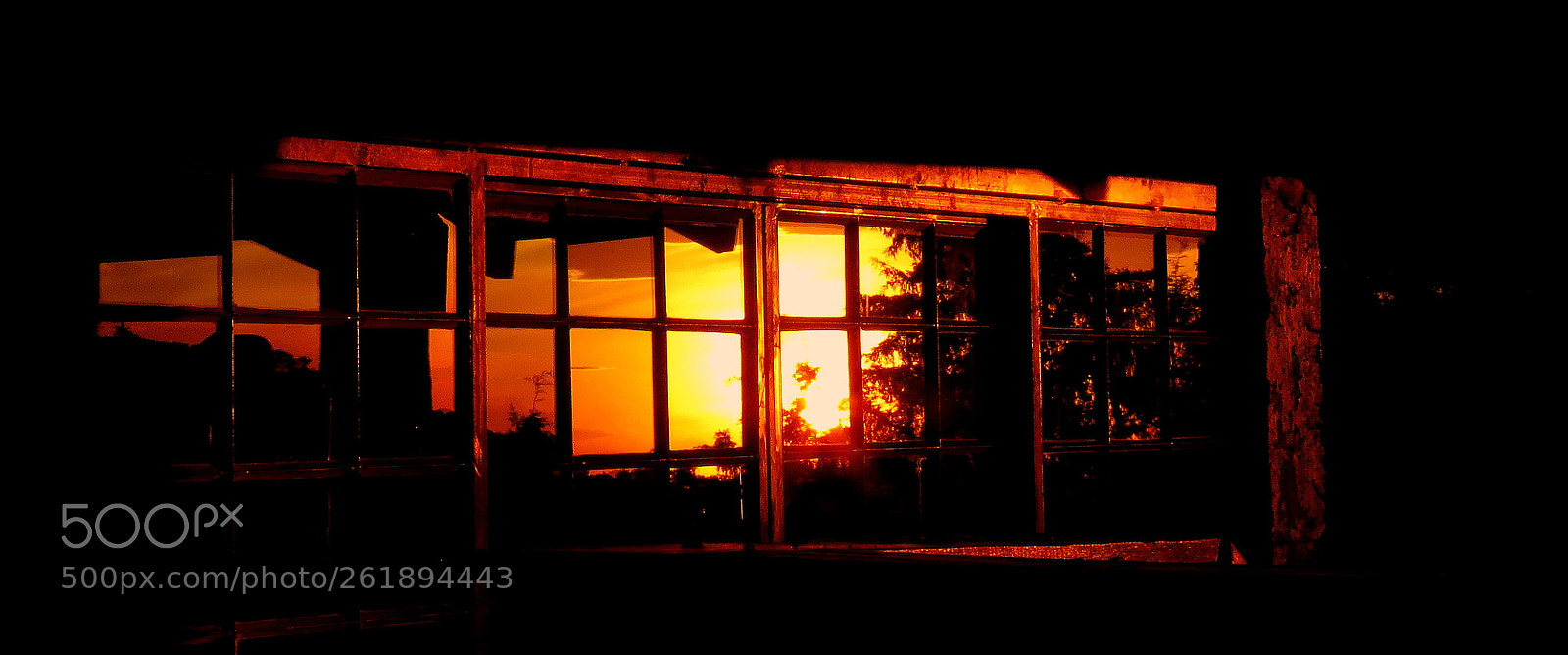 Canon PowerShot SX60 HS sample photo. In the sunset ......mosaic photography