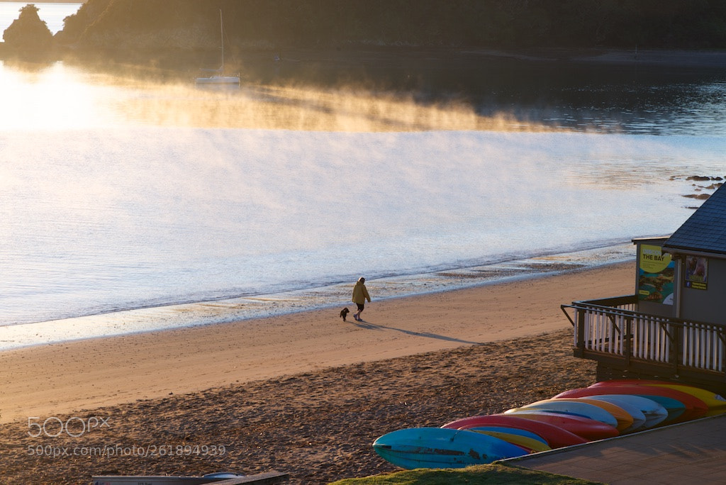 Nikon D600 sample photo. Early morning walk by photography