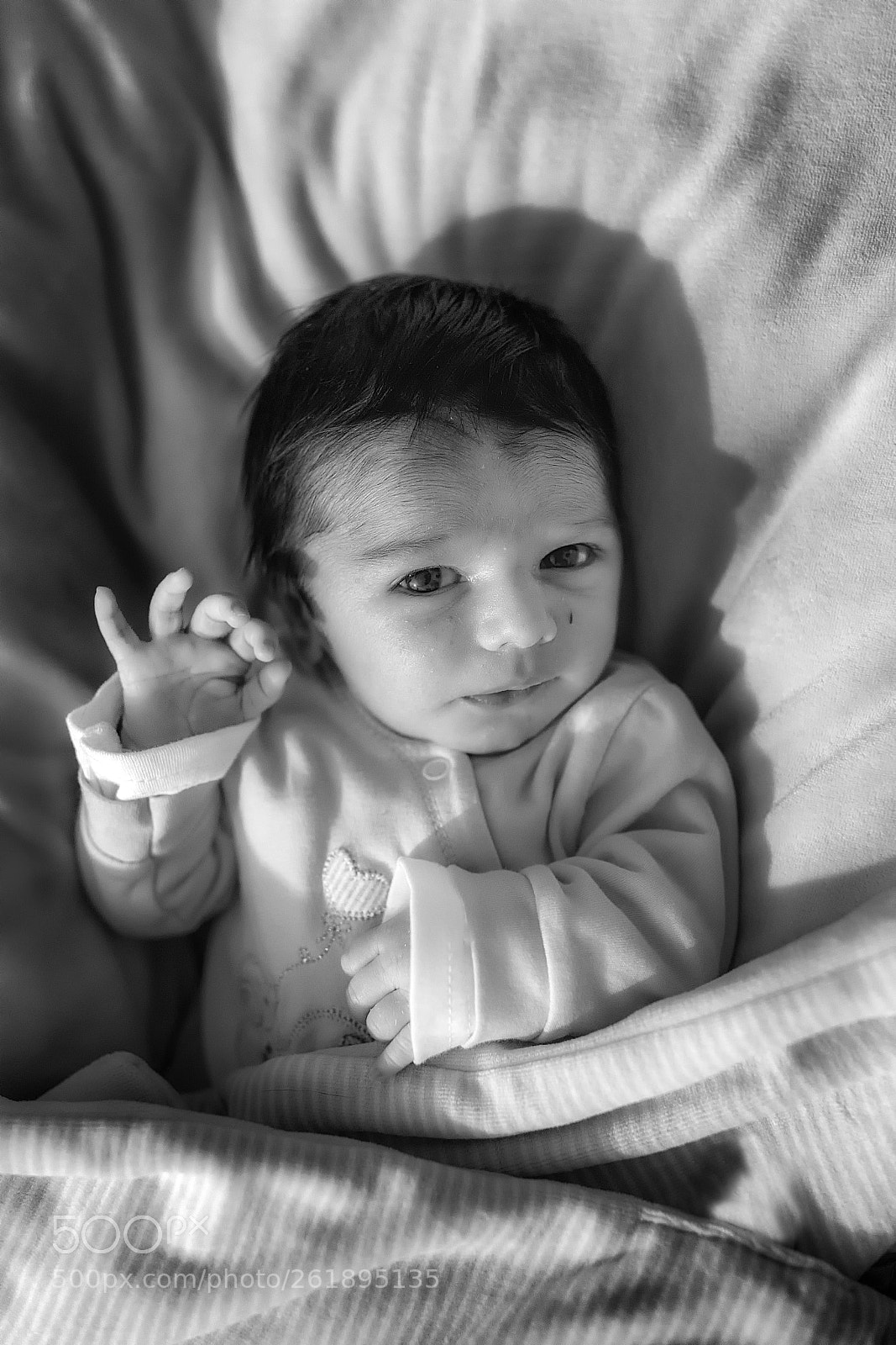 Canon EOS 6D sample photo. Everthing is fine photography