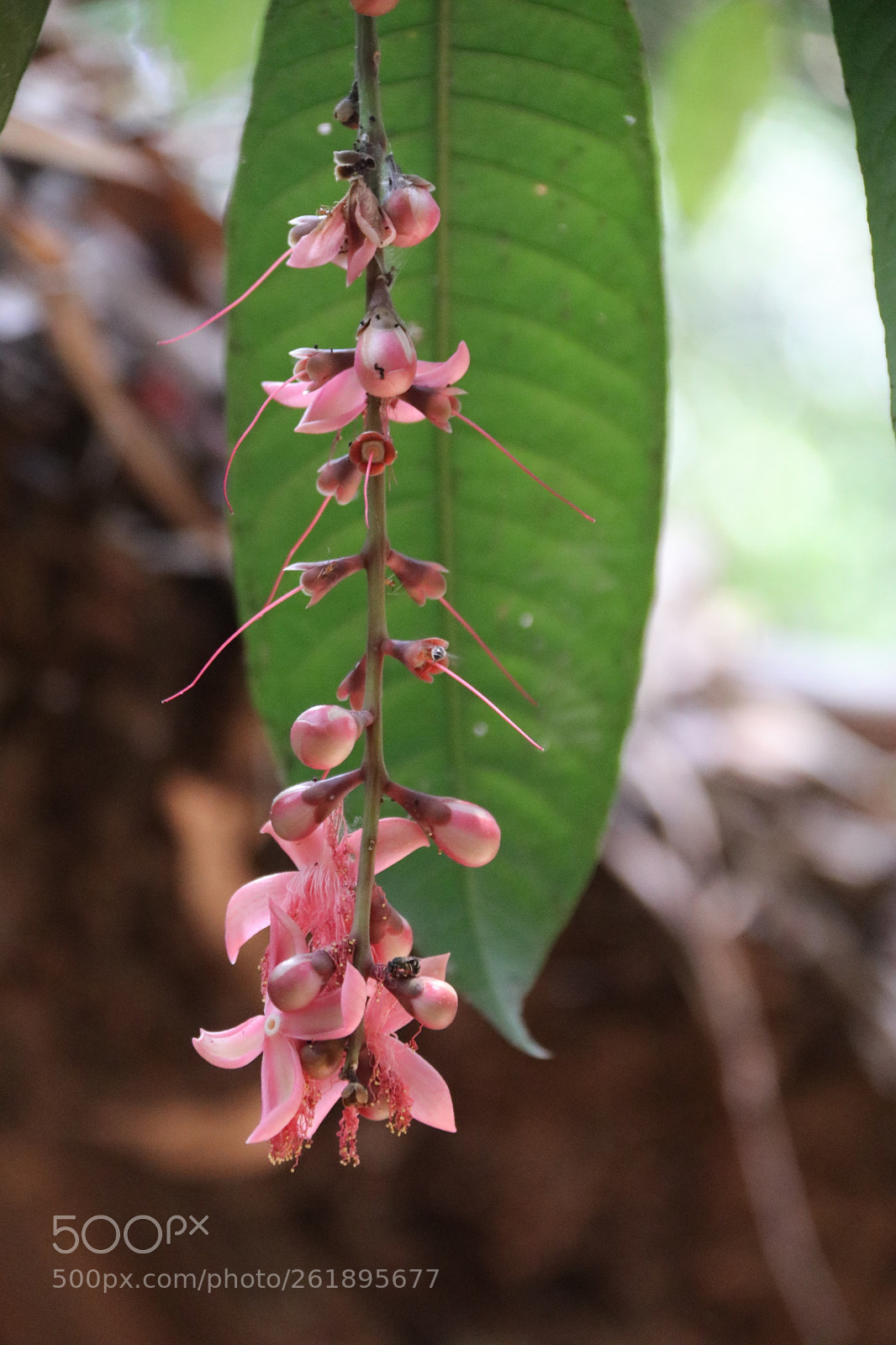 Canon EOS 80D sample photo. Cu-chi-2018j.jpg photography