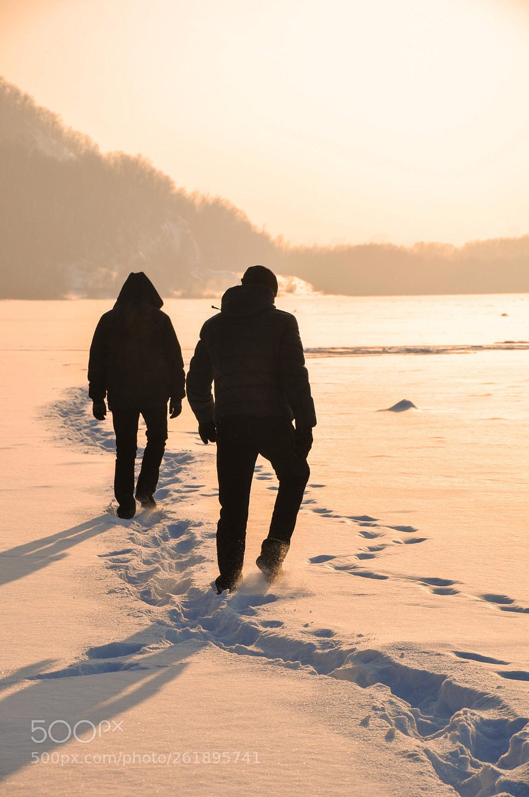 Nikon D90 sample photo. Winter walk photography