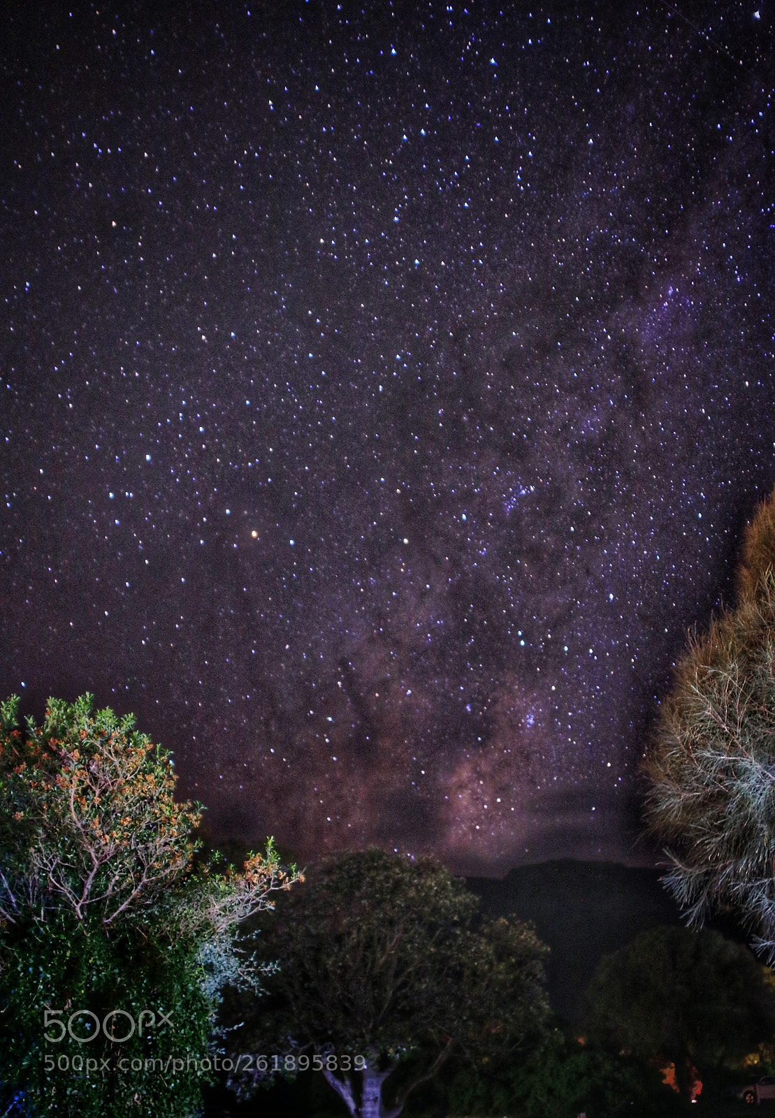 Canon EOS 70D sample photo. Milkyway through the bushes photography