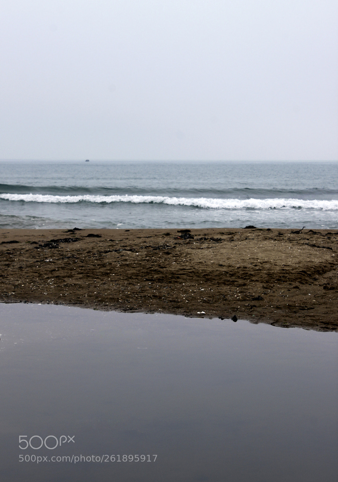 Canon EOS 500D (EOS Rebel T1i / EOS Kiss X3) sample photo. The coast in the photography