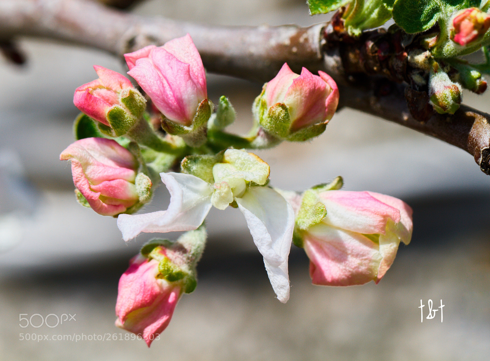 Canon EOS 7D sample photo. Untitled photography
