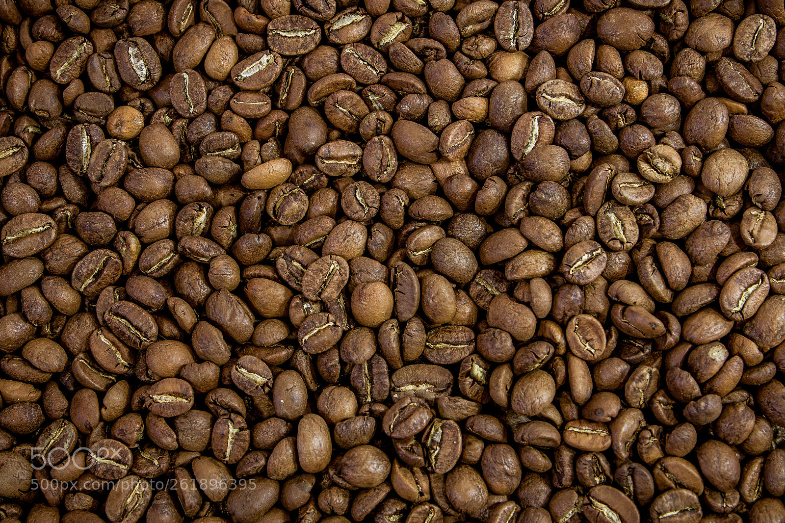 Canon EOS 60D sample photo. Coffee beans photography