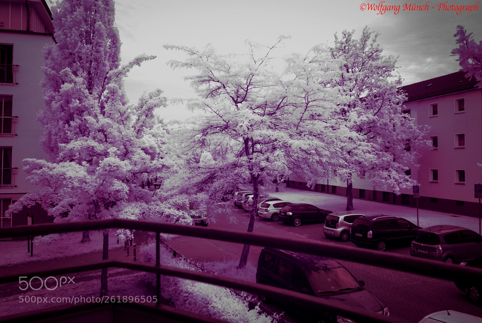 Nikon D200 sample photo. Untitled photography
