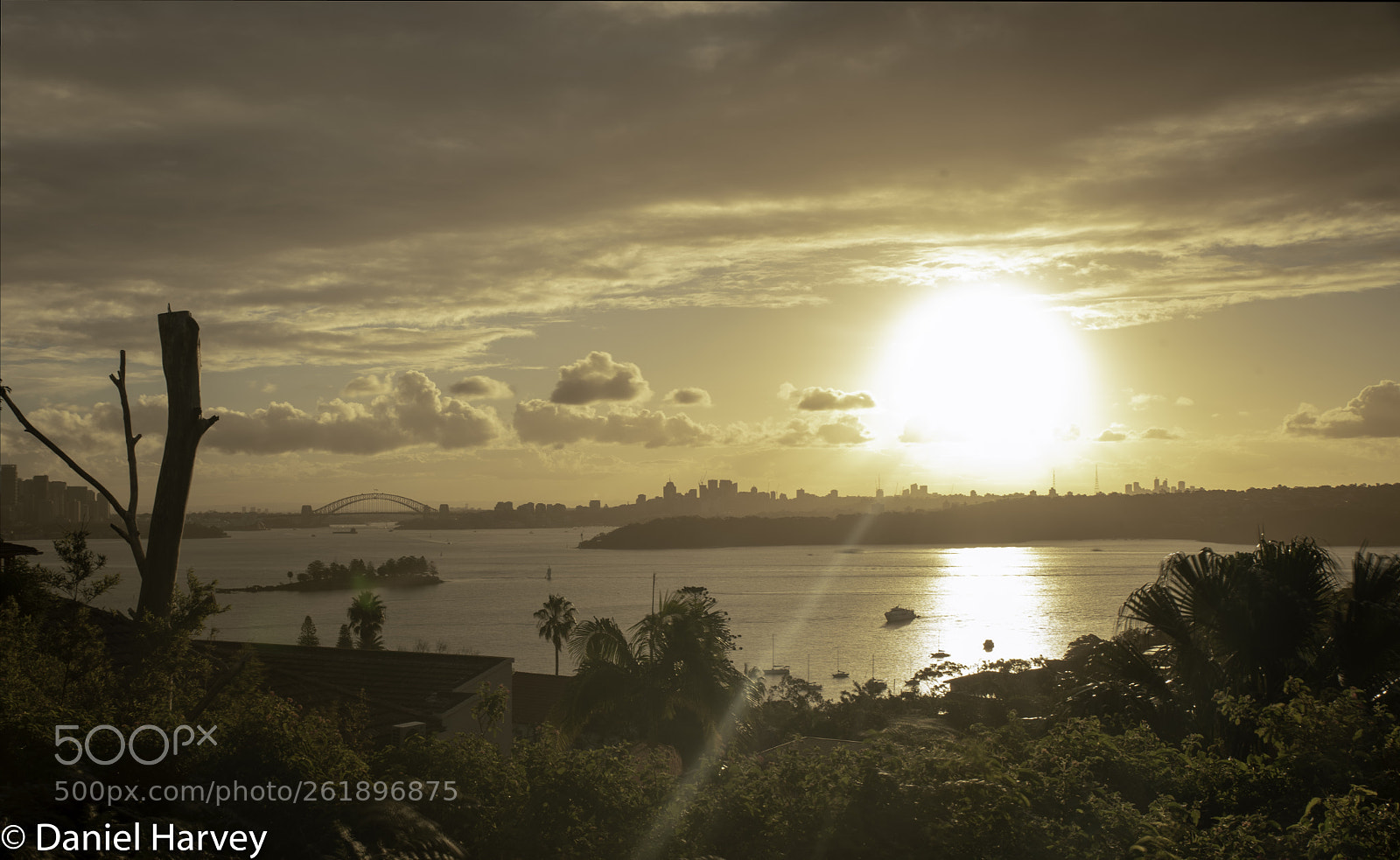 Nikon D750 sample photo. Sydney photography