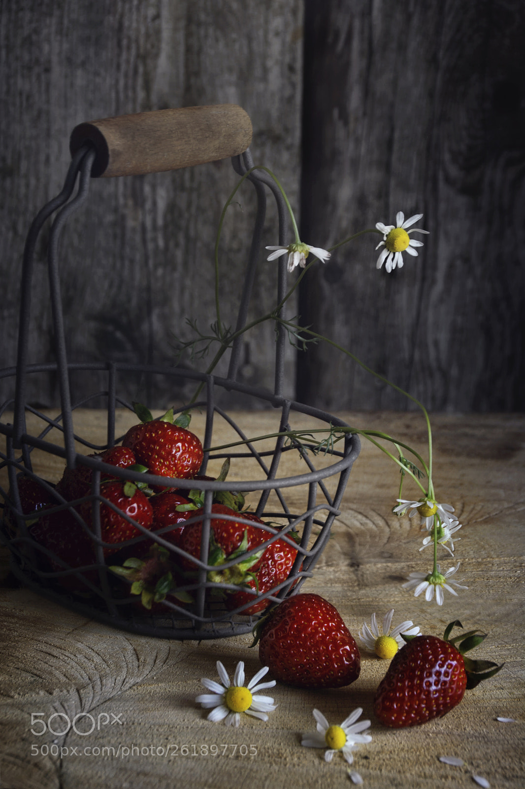 Nikon D5200 sample photo. Frisch gepflückt photography