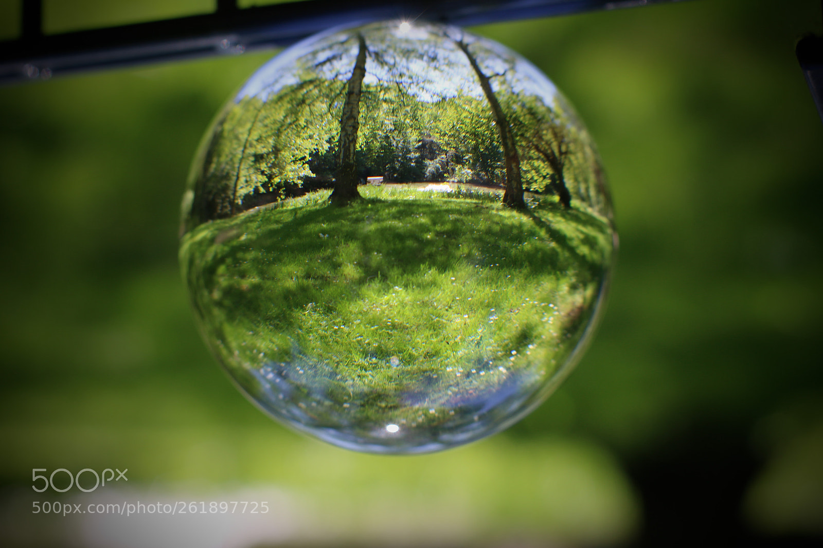 Canon EOS 70D sample photo. Park photography