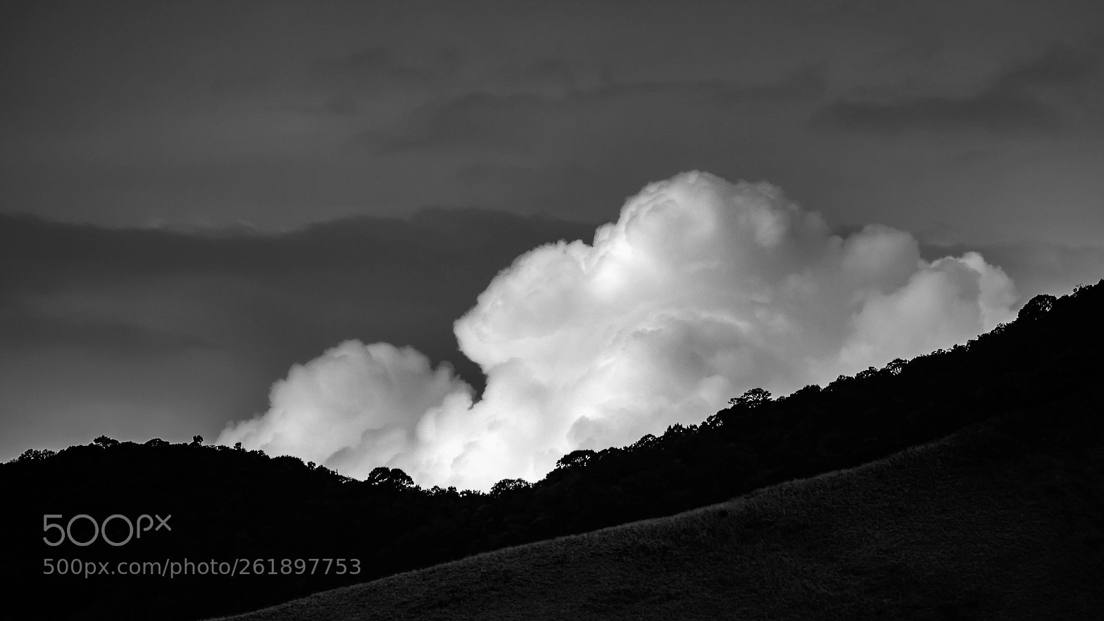 Canon EOS 7D Mark II sample photo. Valparai photography