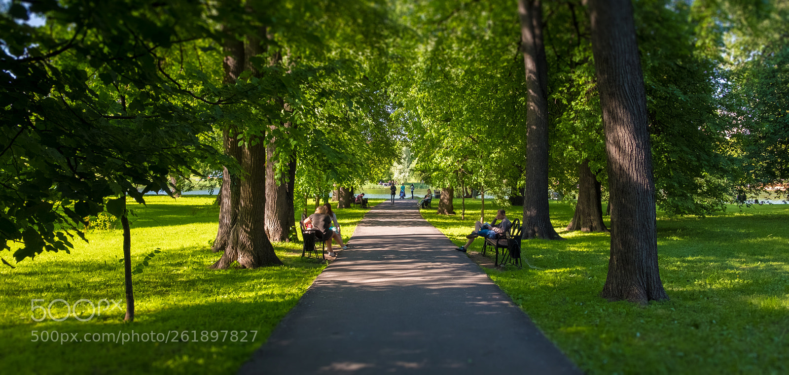 Fujifilm X-T20 sample photo. The barcode pathway photography