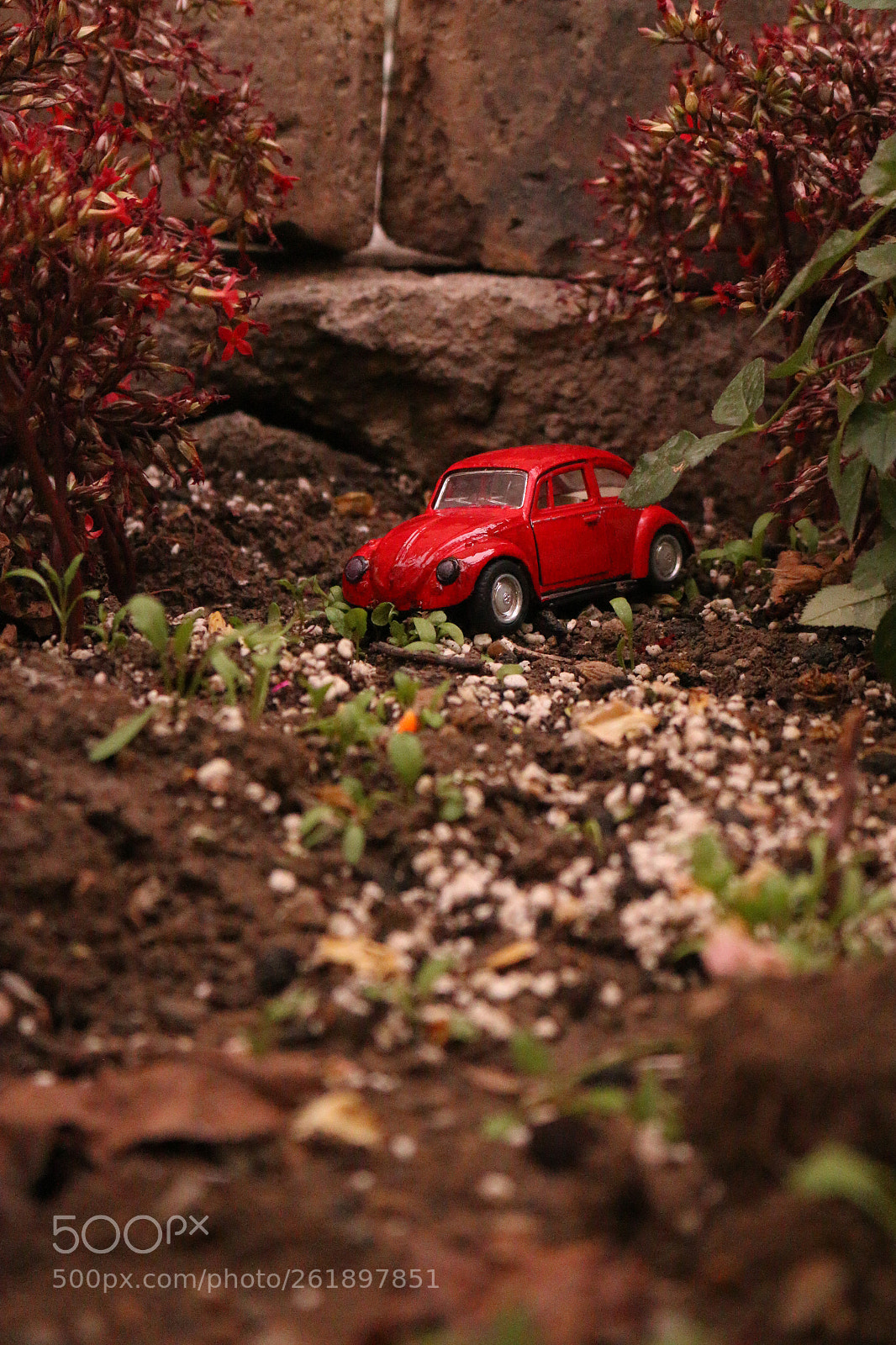 Canon EOS 70D sample photo. Img photography