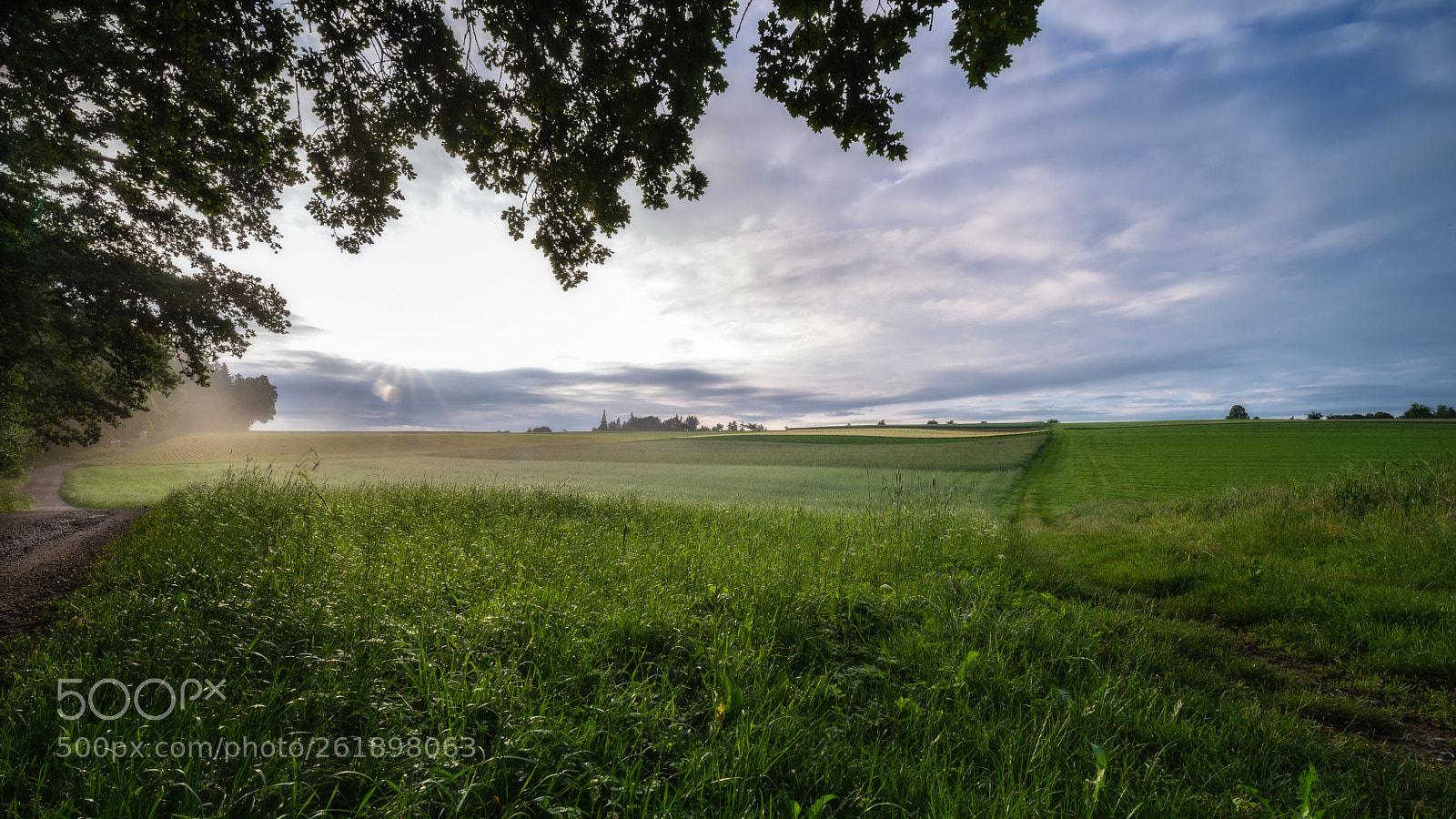 Nikon D610 sample photo. Good morning photography