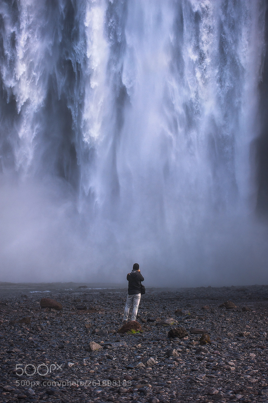 Nikon D700 sample photo. Facing the fall photography