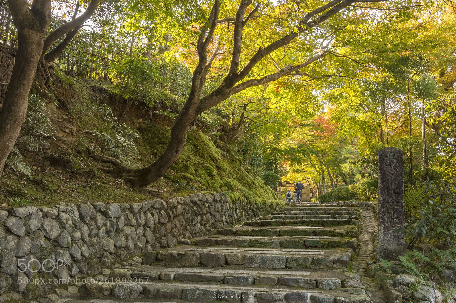 Nikon D7100 sample photo. Follow the path photography