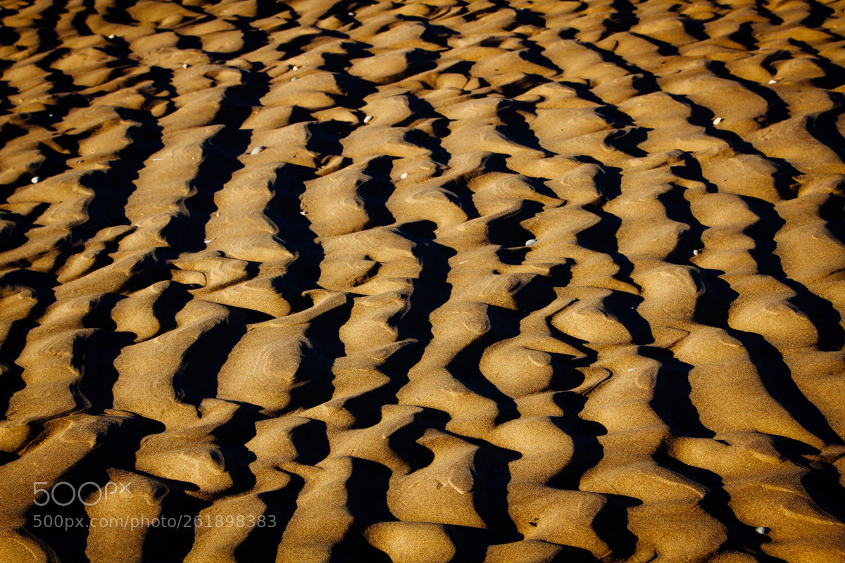 Canon EOS 7D sample photo. Shadow waves photography