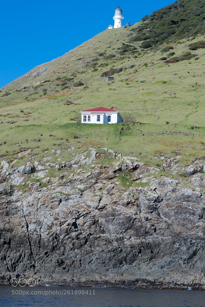 Nikon D600 sample photo. Lighthouse, house, sea photography