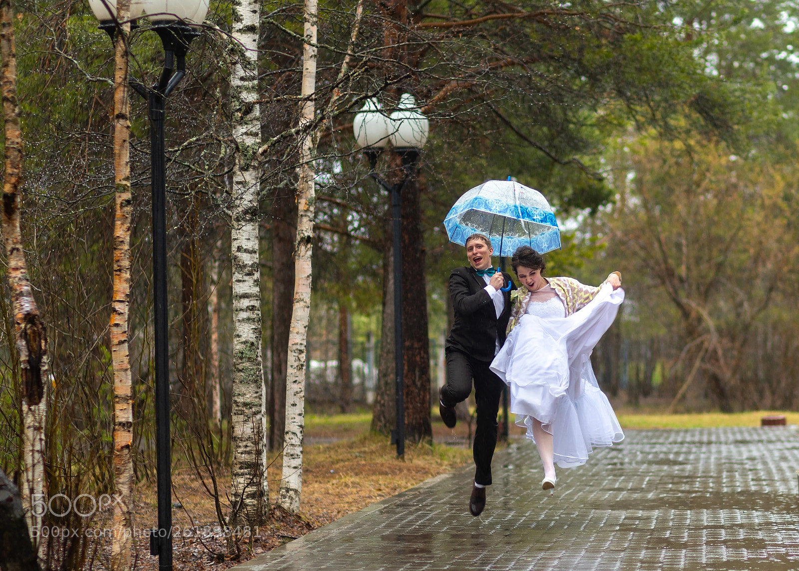Canon EOS 6D Mark II sample photo. *** photography