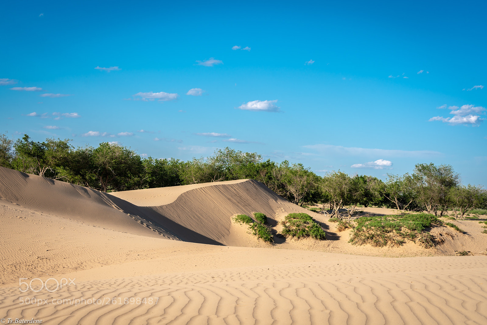 Sony a7R III sample photo. Mongolian gobi photography