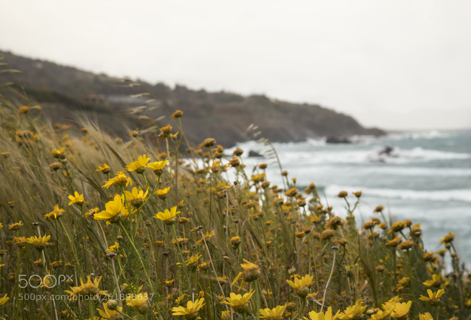 Canon EOS 5D Mark IV sample photo. Cyprus coastline photography