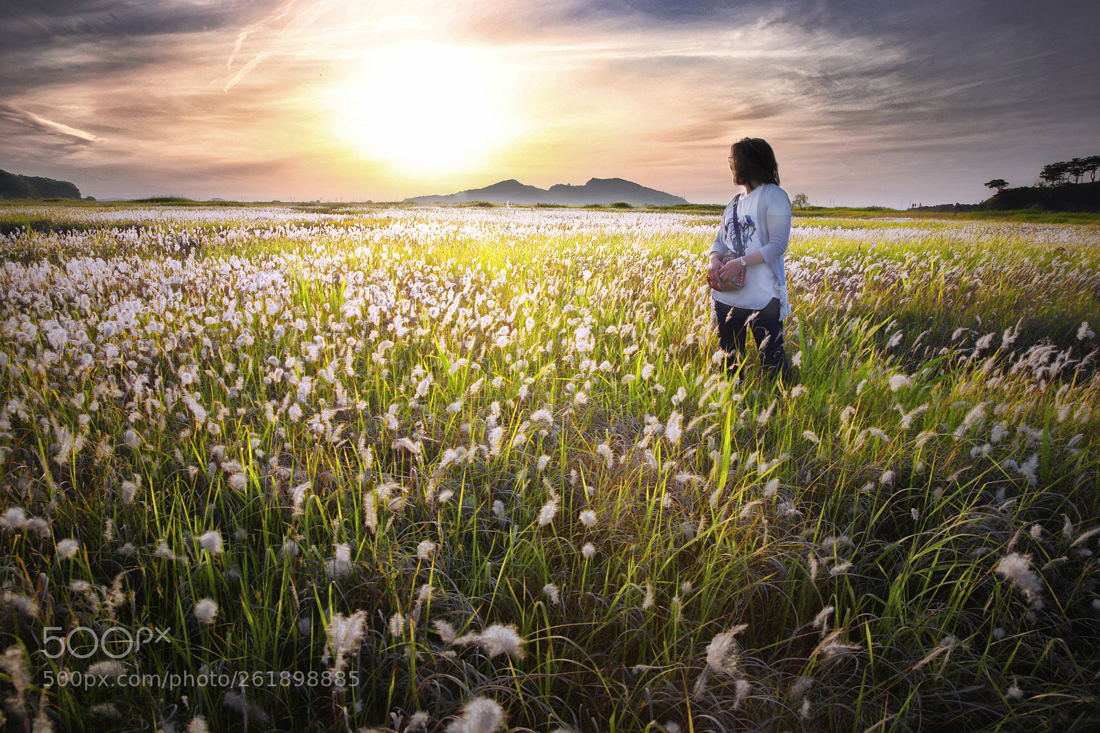 Canon EOS 6D Mark II sample photo. Dusk tone photography