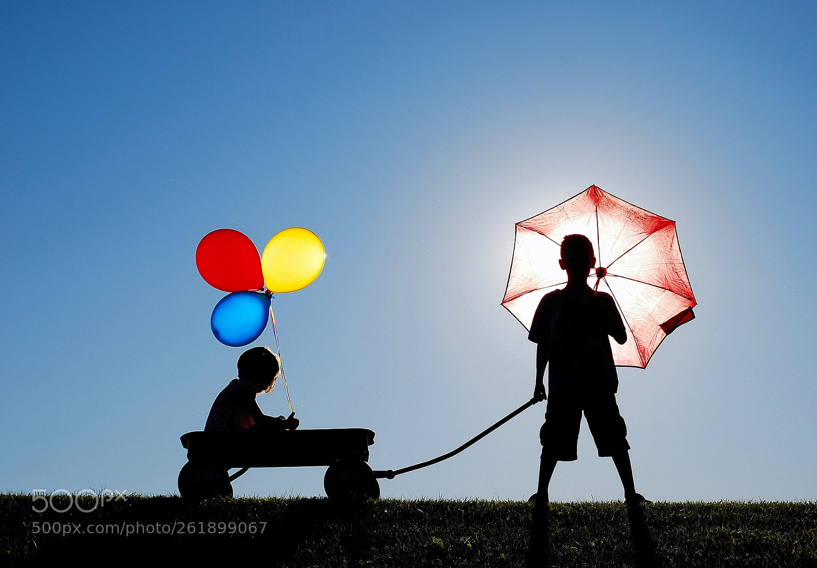 Nikon D60 sample photo. Color wheels  photography