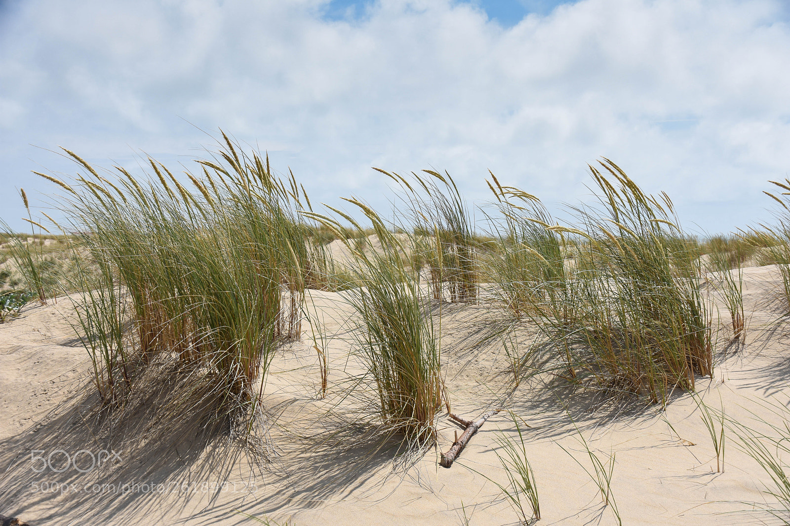 Nikon D7200 sample photo. Sand dunes photography