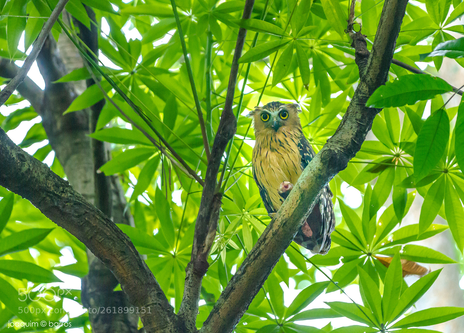 Canon EOS 7D sample photo. Breakfast photography