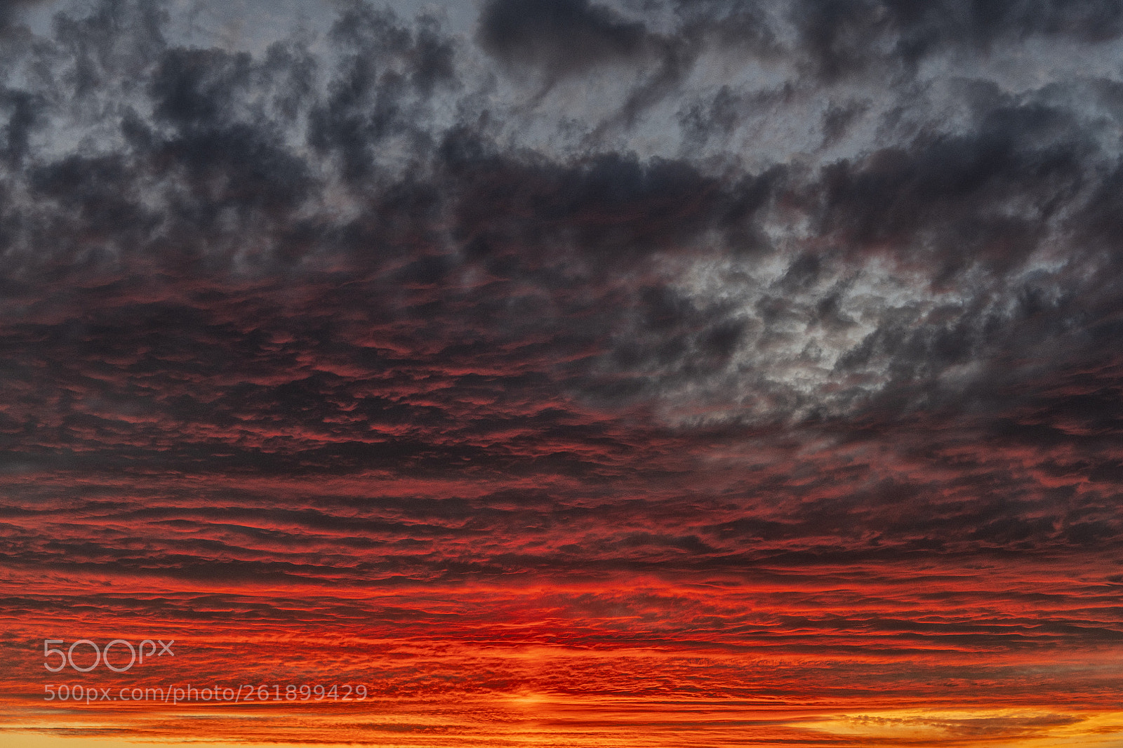 Nikon D850 sample photo. Sky photography