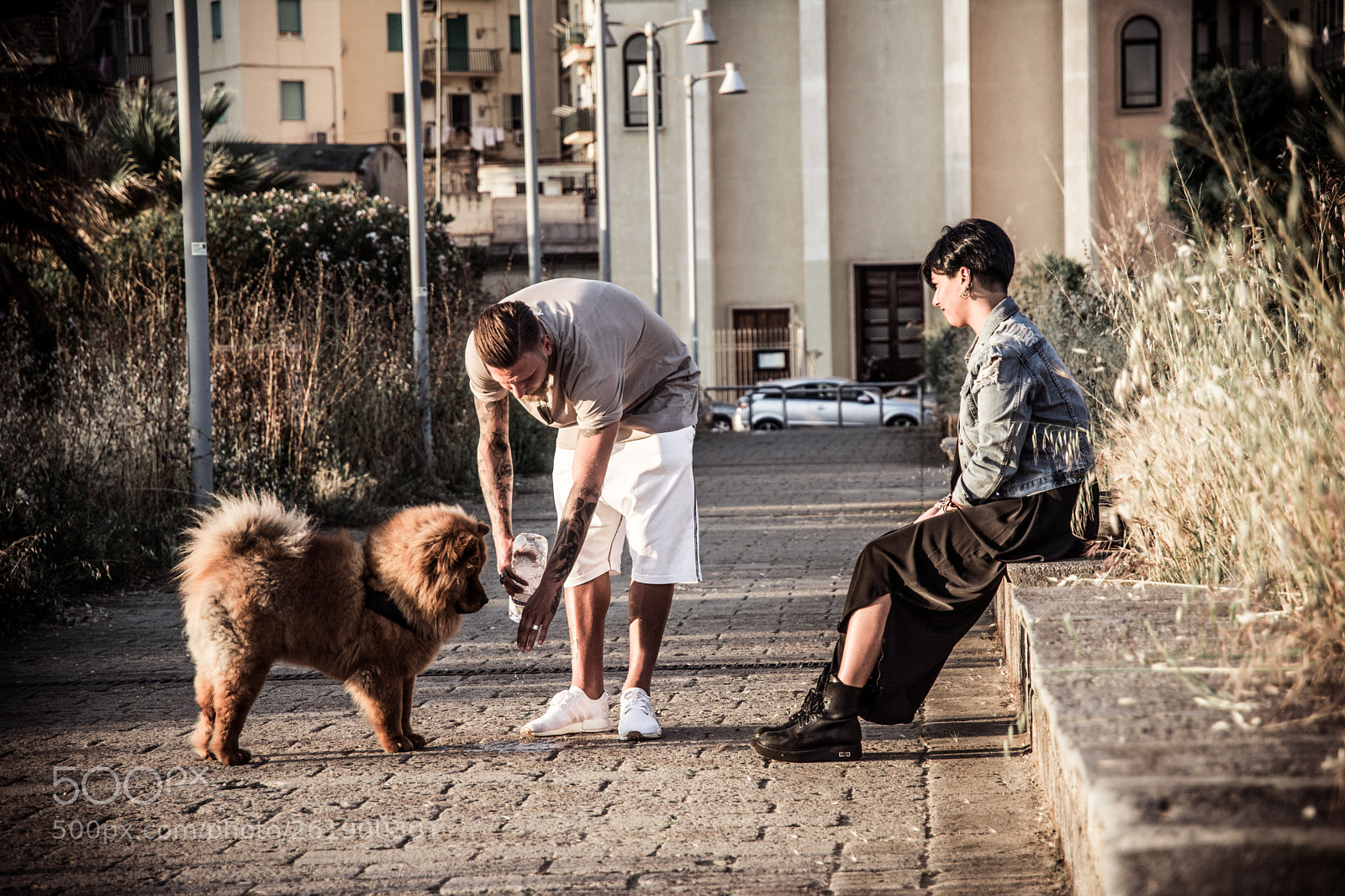 Nikon D5200 sample photo. Chow chow photography
