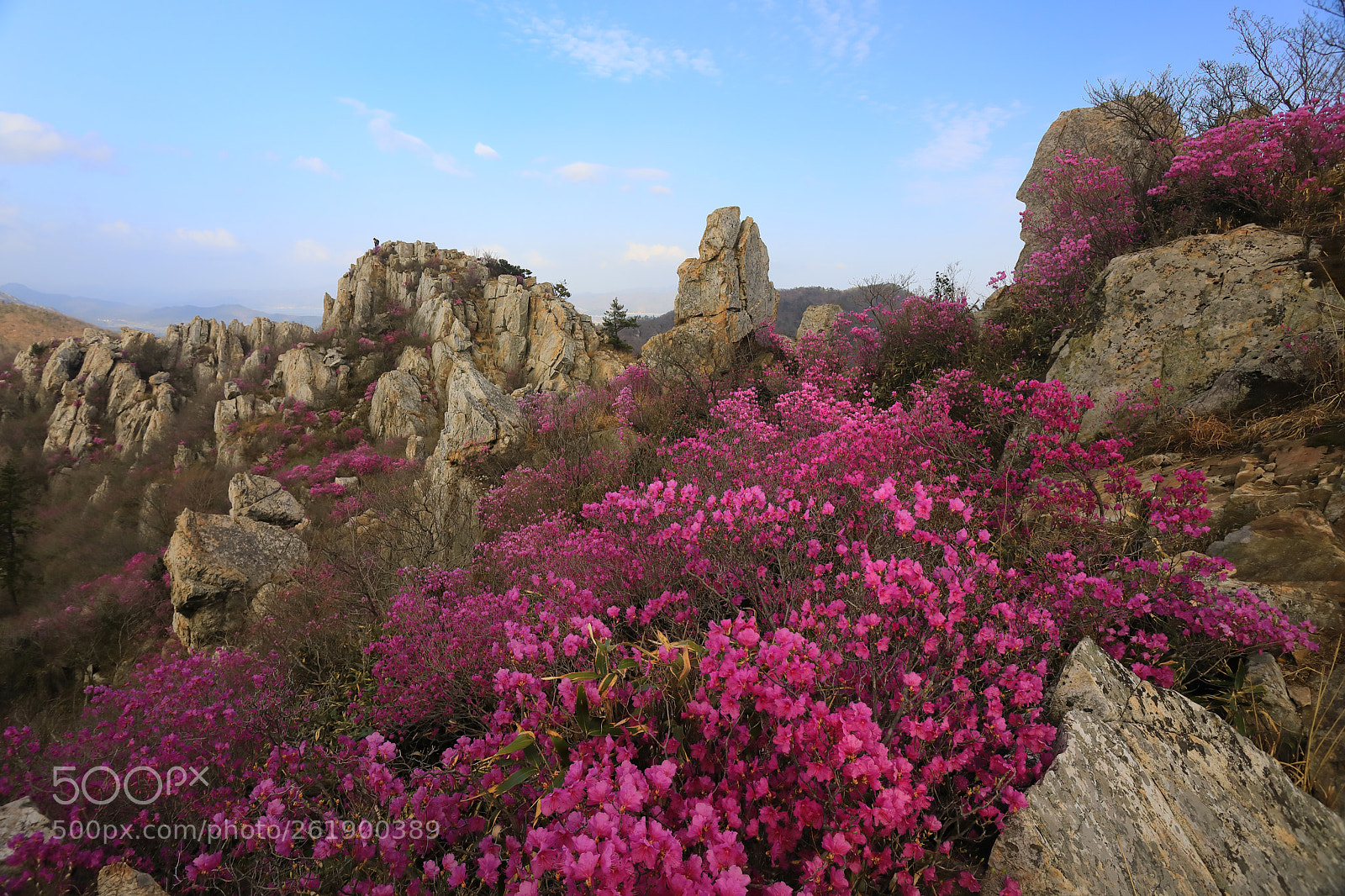 Canon EOS 5D Mark IV sample photo. Joojak mountain photography